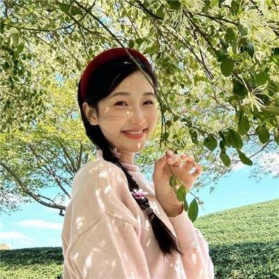 三只狼